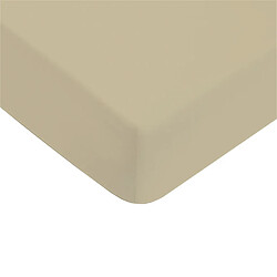 Future Home Drap housse uni en coton 57 fils beige 90x190cm
