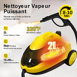 Nettoyeur vapeur