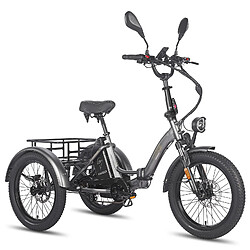 Vélo électrique Fafrees F20 Mate 20" Pneu Moteur 500W 48V 21AH Gris