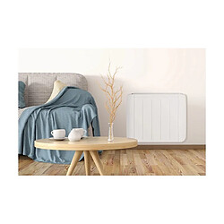 Acheter Radiateur Fonte Digital 1000w Thecof1000n Eco2 Thomson