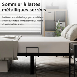 HOMAVO Cadre de lit métal 160x200 cm - Noir pas cher
