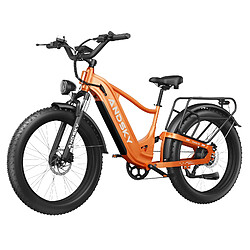 Vélo Électrique ANDSKY 750W 25/50km/h, Batterie 20Ah Autonomie 120km, Freins Hydrauliques