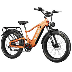 Avis Vélo Électrique ANDSKY 750W 25/50km/h, Batterie 20Ah Autonomie 120km, Freins Hydrauliques