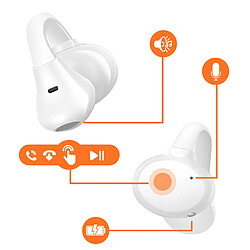 Avis Hoco Hoko Écouteurs sans Fil Bluetooth Blanc