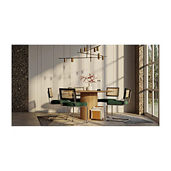ICONIK INTERIOR Chaise de salle à manger - Tapissée de velours - Bois et rotin - Hyre Gris foncé pas cher