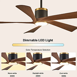 Ventilateur