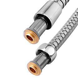 Avizar Flexible de Douche 1.5m Inox Argent pas cher