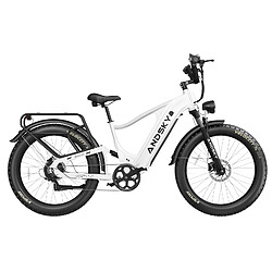 Acheter Vélo Électrique ANDSKY 750W 25/50km/h, Batterie 20Ah Autonomie 120km, Freins Hydrauliques