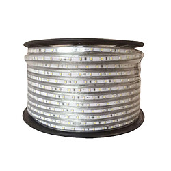 Bobine LED Silver Electronics 50m 800lm 10,5W/m 6.500K 14mm coupe 1cm IP65 230V