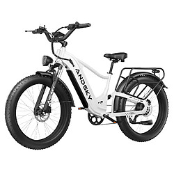 Vélo Électrique ANDSKY 750W 25/50km/h, Batterie 20Ah Autonomie 120km, Freins Hydrauliques