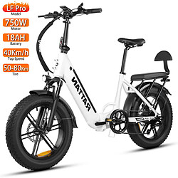 Rattan LF Pro Vélo électrique 20" Moteur 750W Freins à Double Disque 48V 18AH