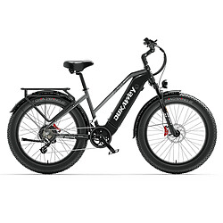 LANKELEISI Vélo Électrique DUKAWEY DM530PLU 1000W batterie Samsung 52V20Ah Shimano 7V autonomie 100km pas cher