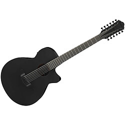 AEG1221-BOT Black Out 12 Strings Ibanez