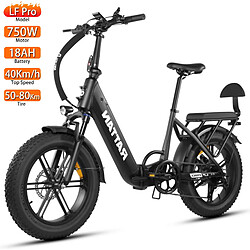 Rattan LF Pro Vélo électrique Moteur 750W 20" Pneu Freins à Double Disque Noir
