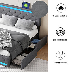 Acheter Lit double - Superaly - 180x200cm - avec 4 tiroirs - port USB et éclairage LED - gris foncé
