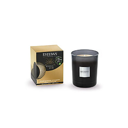 Esteban Bougie initiale rechargeable Vanille d'or 180g