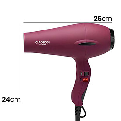 Acheter Avizar Sèche-Cheveux 4800W Fonction Air Chaud / Froid Réglable Violet