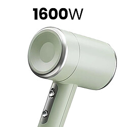 Avizar Sèche-Cheveux Puissant 1600W à Séchage Ultra-Rapide Vert pâle pas cher