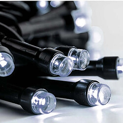Acheter Avizar Guirlande lumineuse LED - Vert foncé