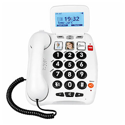Téléphone fixe sans fil