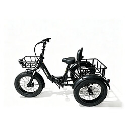 Tricycle Électrique KOOLUX X13 Roues Cargo Freins Hydrauliques 500W Autonomie 80km,45km/h