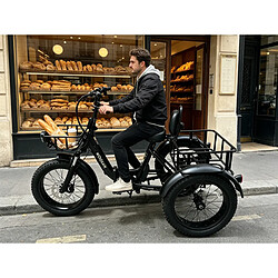 Tricycle Électrique KOOLUX X13 Roues Cargo Freins Hydrauliques 500W Autonomie 80km,45km/h