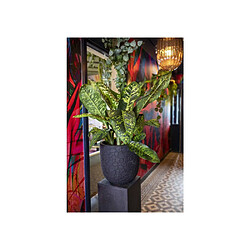Décoration d'extérieur