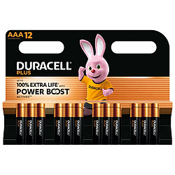 Piles Rechargeables DURACELL DPBLR3B12 1,5 V AAA