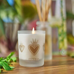 Esteban Bougie parfumée Citronnelle & Menthe rechargeable 180g