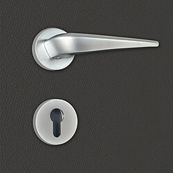 Poignée de porte