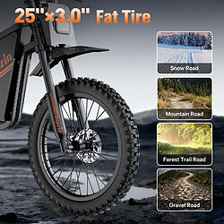 Acheter Ridstar Vélo Électrique Tout Terrain 6000W 60V 35Ah, Autonomie 130km,80km/h Freins Hydrauliques