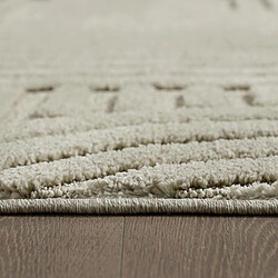 Acheter UnAmourDeTapis Tapis salon 140 x 200 cm, motif géométrique en relief, beige, NOOR