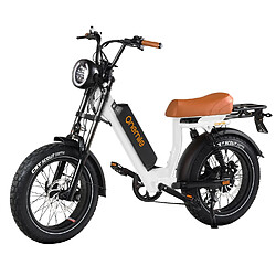 Vélo Électrique M40 52V 1000W, 19.2A, 80km, Shimano 7V, Freins Hydrauliques, Tout Terrain