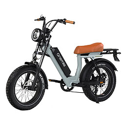 Vélo Électrique M40 52V 1000W, 19.2A, 80km, Shimano 7V, Freins Hydrauliques, Tout Terrain