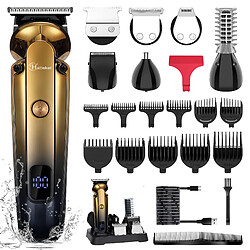 Hatteker Tondeuse Cheveux et Barbe 6-en-1 Or