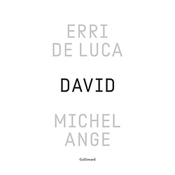 David, Michel-Ange : enquête sur une disproportion Erri De Luca