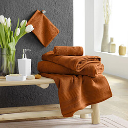 Douceur D'Interieur Lot de 2 Gants de Toilette Tendresse 15x21cm Caramel pas cher