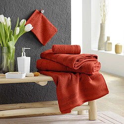 Douceur D'Interieur Lot de 2 Gants de Toilette Tendresse 15x21cm Rouge pas cher