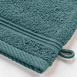 Avis Douceur D'Interieur Lot de 2 Gants de Toilette Tendresse 15x21cm Orage