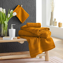 Douceur D'Interieur Lot de 2 Gants de Toilette Tendresse 15x21cm Jaune Curry pas cher