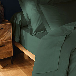 Douceur D'Interieur Drap Housse Lina 160x200cm Vert Cèdre pas cher