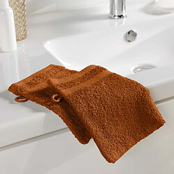 Acheter Douceur D'Interieur Lot de 2 Gants de Toilette Tendresse 15x21cm Caramel