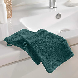 Acheter Douceur D'Interieur Lot de 2 Gants de Toilette Tendresse 15x21cm Orage