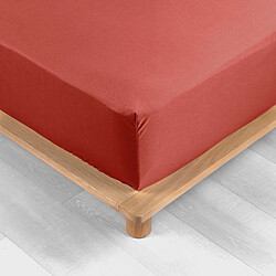 Avis Douceur D'Interieur Drap Housse Percaline 90x190cm Terracotta
