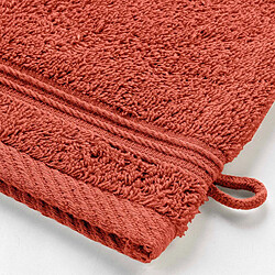 Avis Douceur D'Interieur Lot de 2 Gants de Toilette Tendresse 15x21cm Rouge