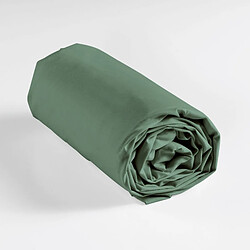 Drap housse