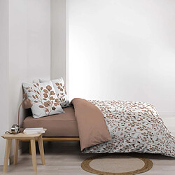 Avis Paris Prix Parure de Lit 3 Pièces Maiwen 200x200cm Mocha