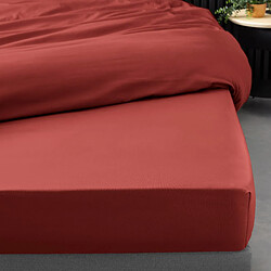 Acheter Douceur D'Interieur Drap Housse Percaline 90x190cm Terracotta