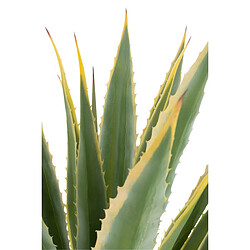 Paris Prix Plante Artificielle en Pot Agave 135cm Vert