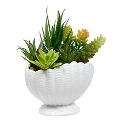 Atmosphera Composition Artificielle Pot Coquillage Ocea 20cm Blanc